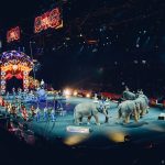 circus-828680_1920