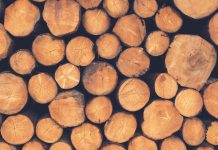 임업 분야의 일자리와 고용 현황